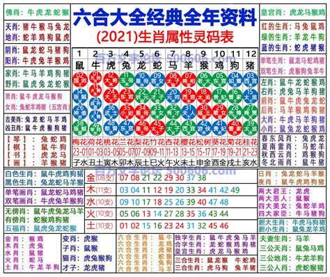 六合彩生肖号码】属性知识对照表|2024十二生肖属性对照表